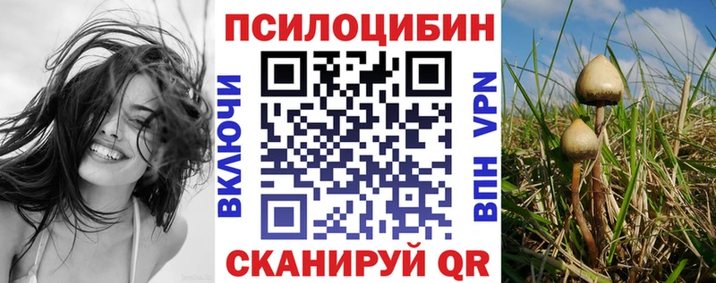 Псилоцибиновые грибы ЛСД  где можно купить   darknet какой сайт  Бежецк 
