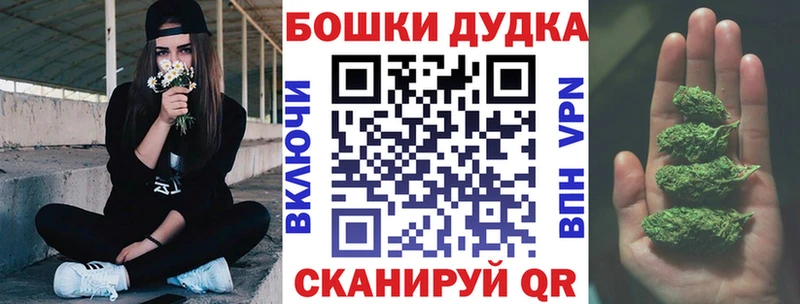 где можно купить наркотик  Бежецк  Бошки Шишки конопля 